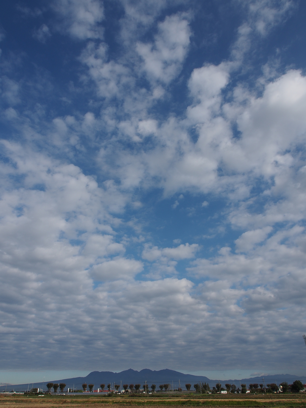 PA310012.jpg