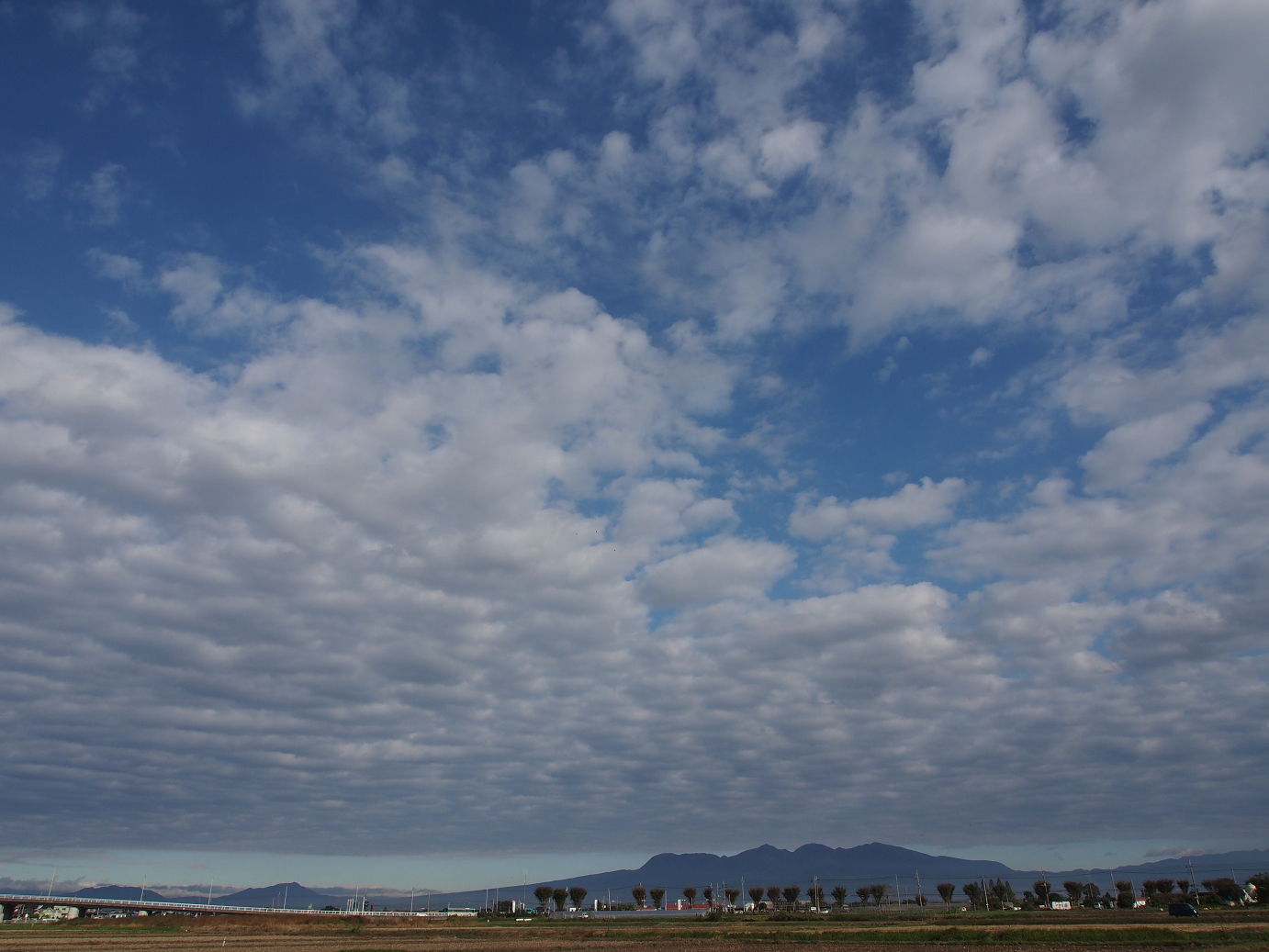 PA310015.jpg