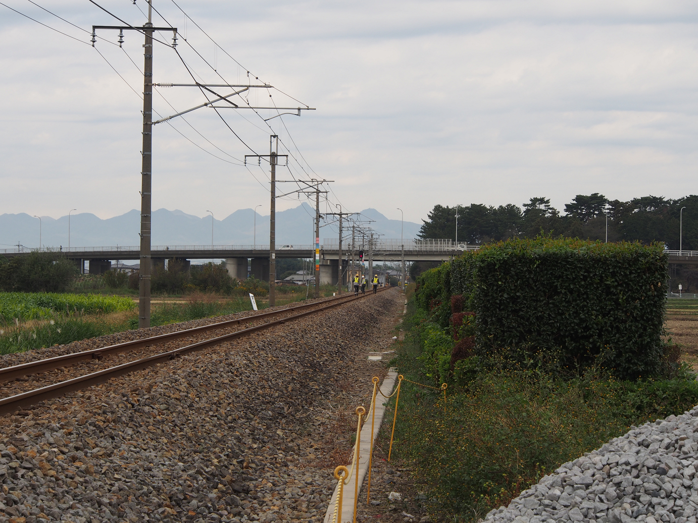 PA310034.jpg