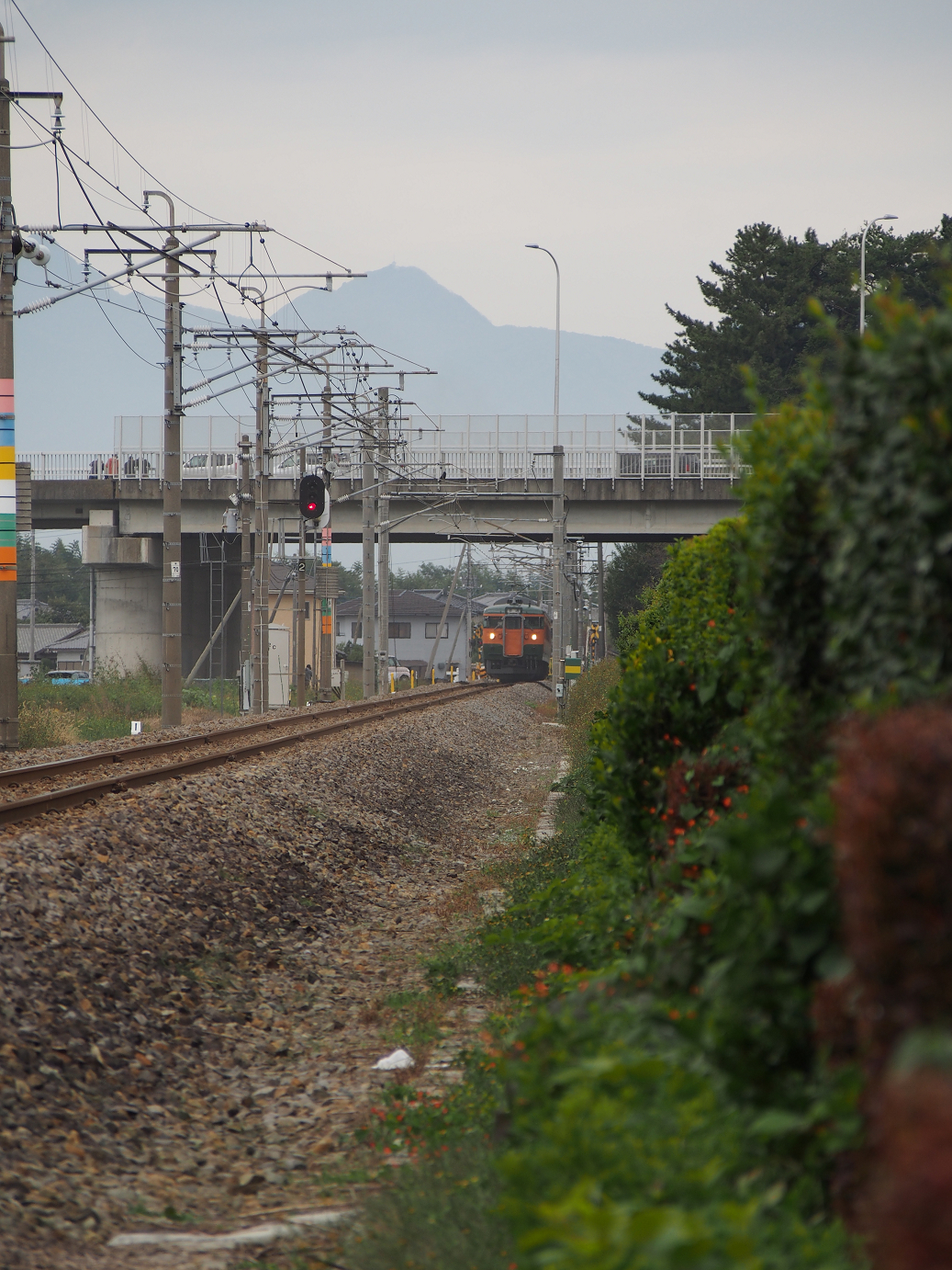 PA310061.jpg