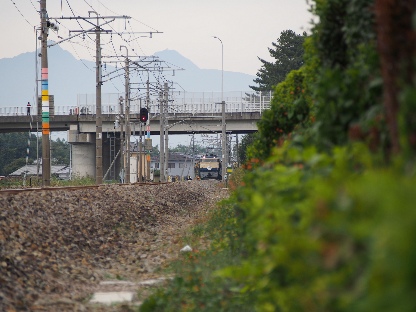 PA310116.jpg
