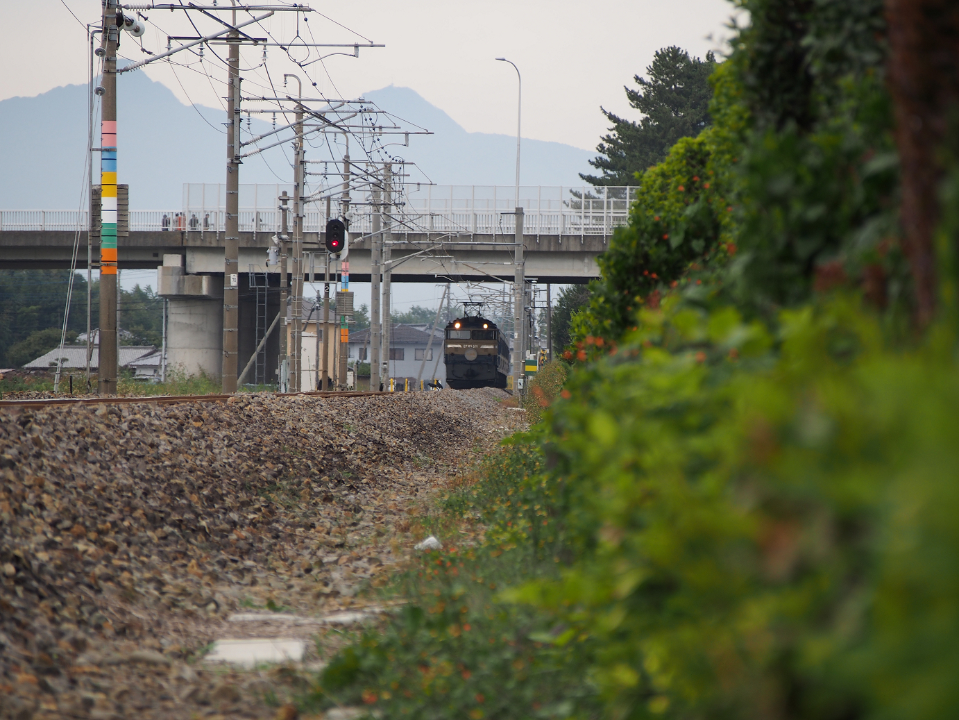 PA310119.jpg