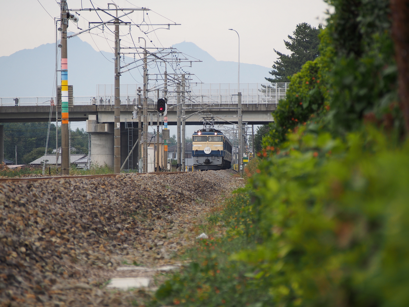 PA310124.jpg
