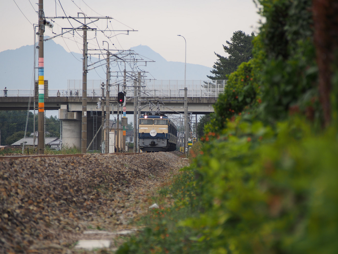 PA310127.jpg