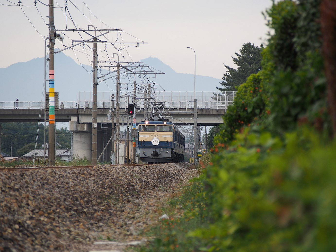 PA310129.jpg