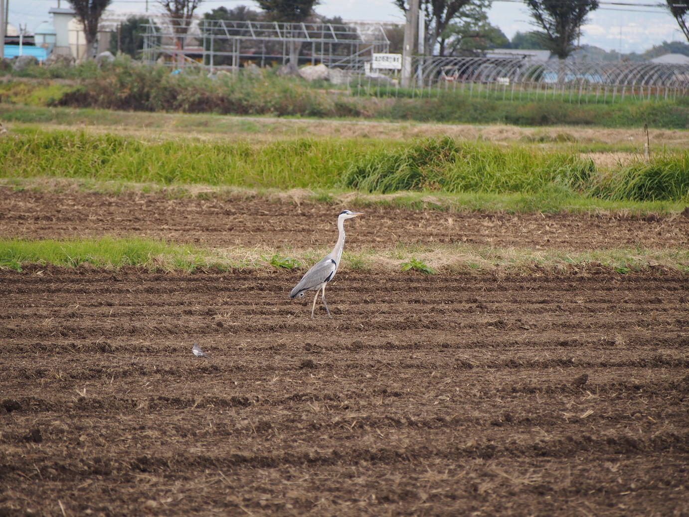 PA310169.jpg