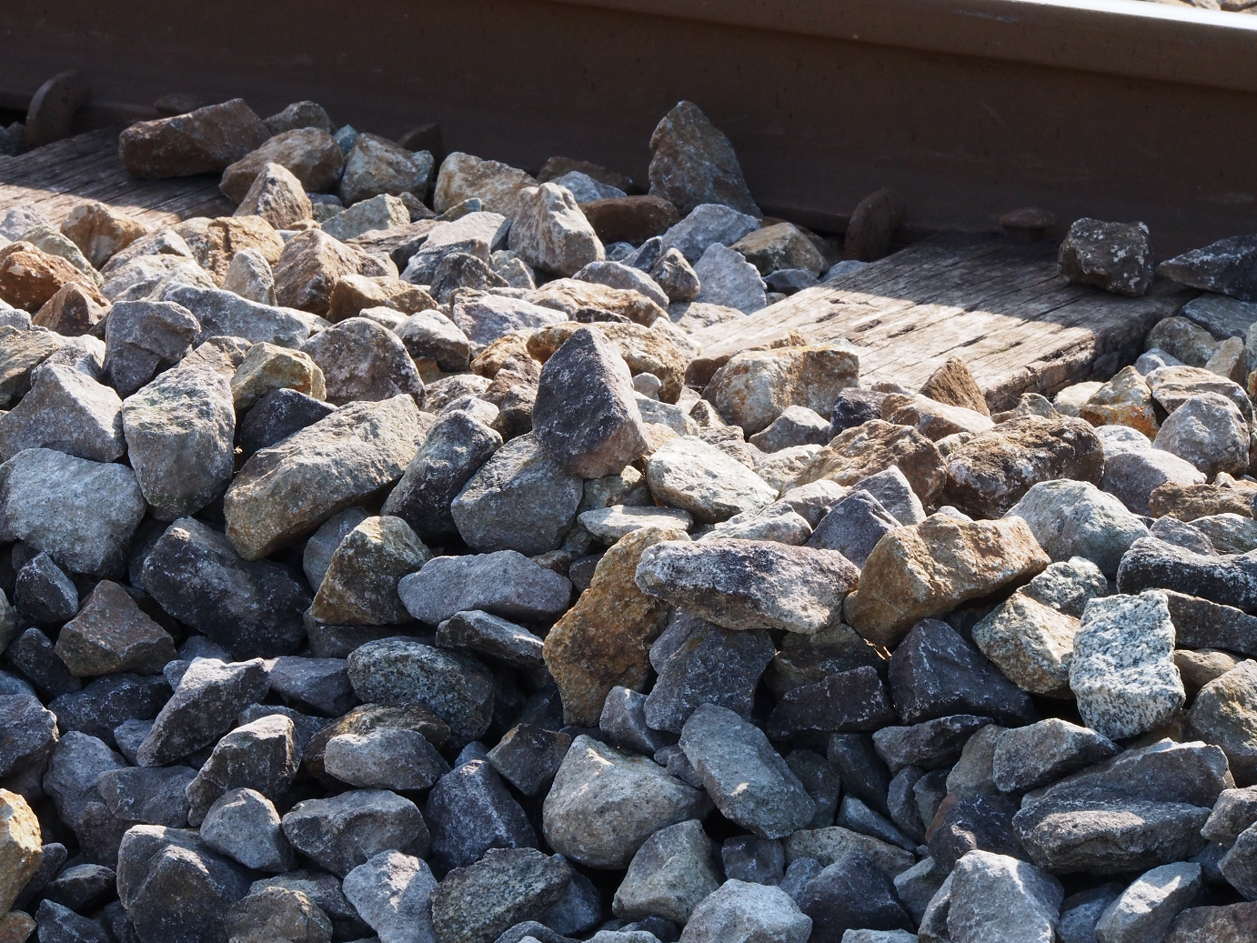 PA310183.jpg