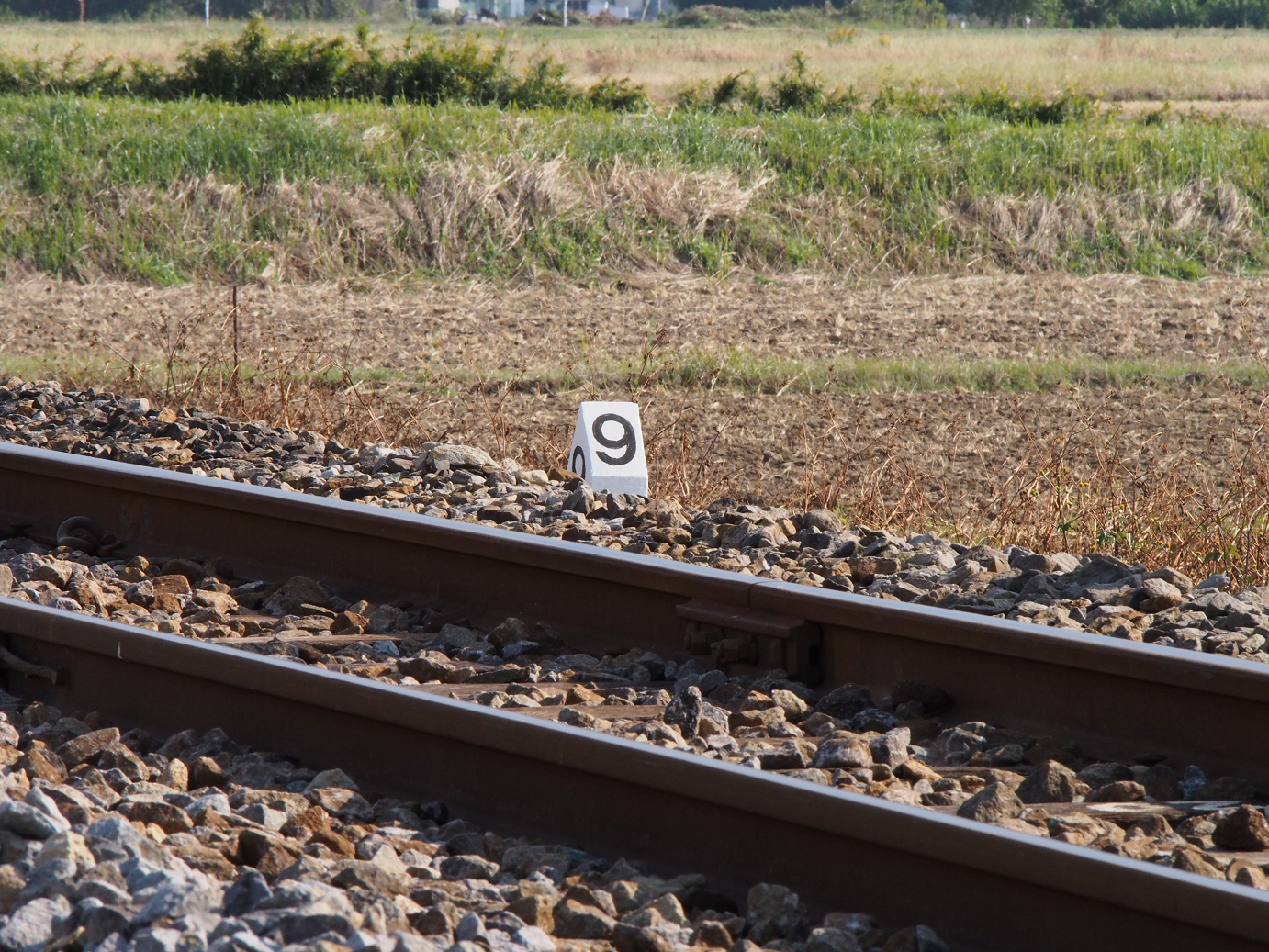 PA310185.jpg