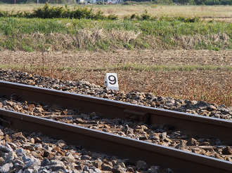 PA310185_thumb.png