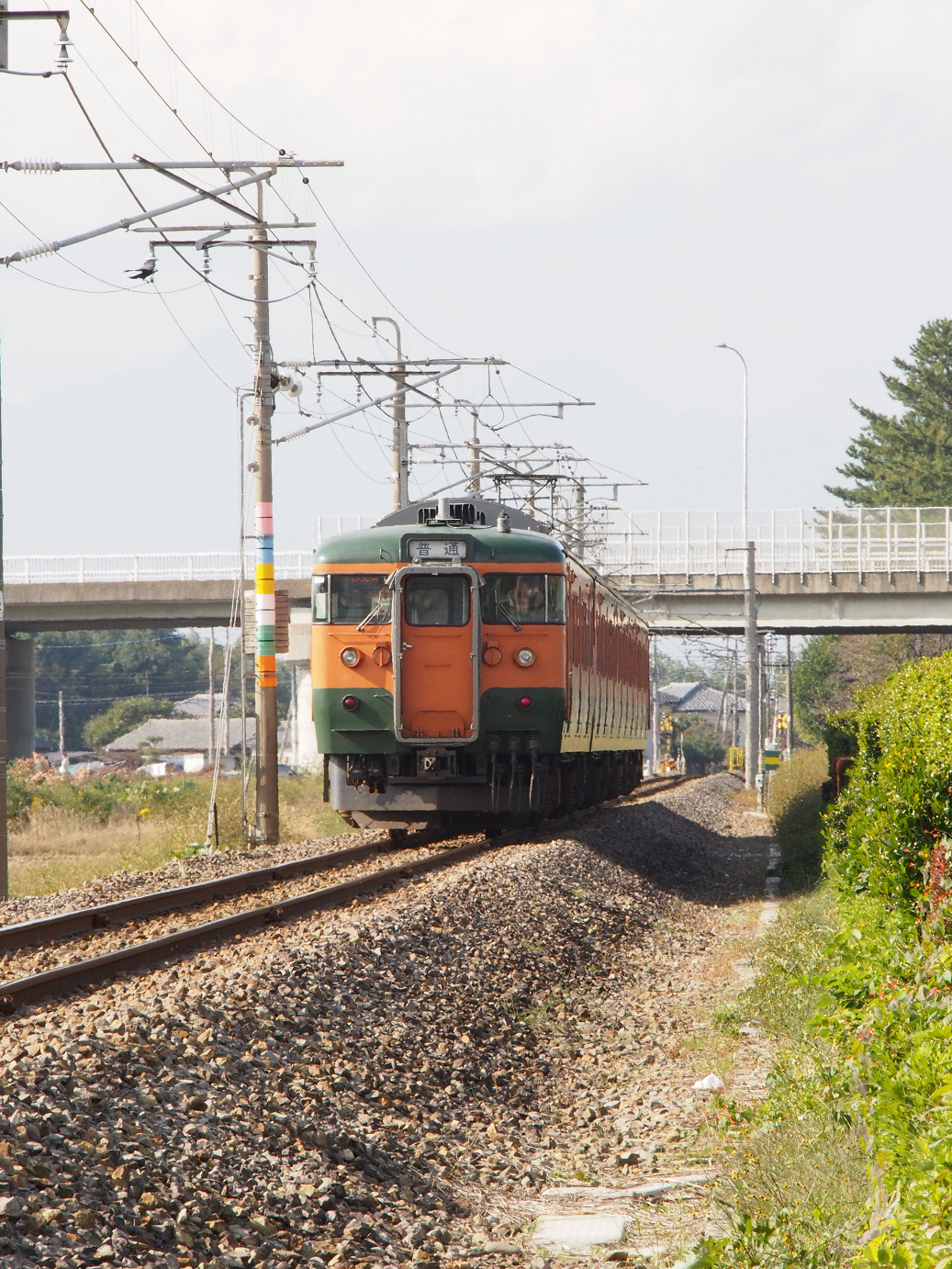 PA310199.jpg