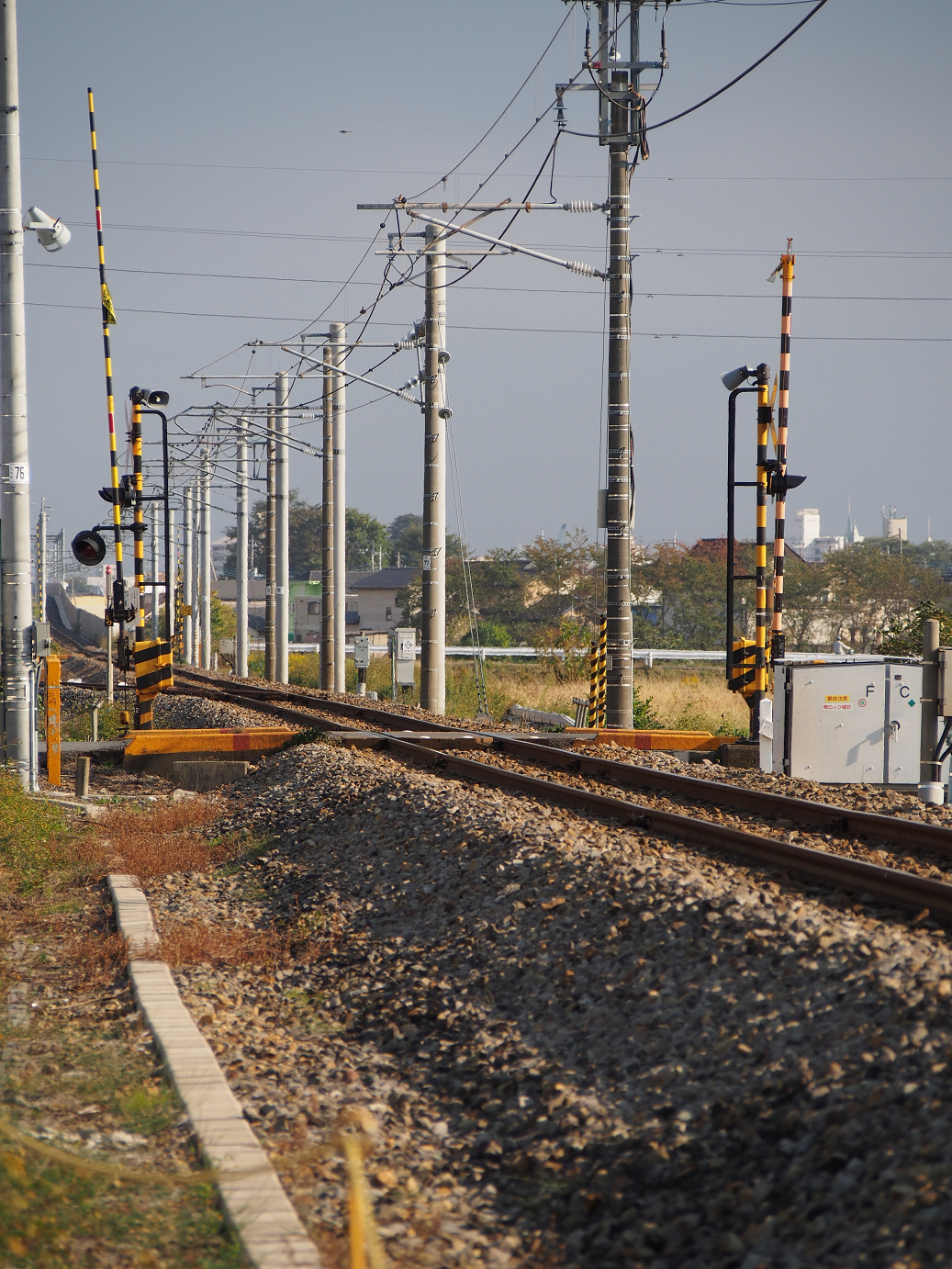 PA310201.jpg