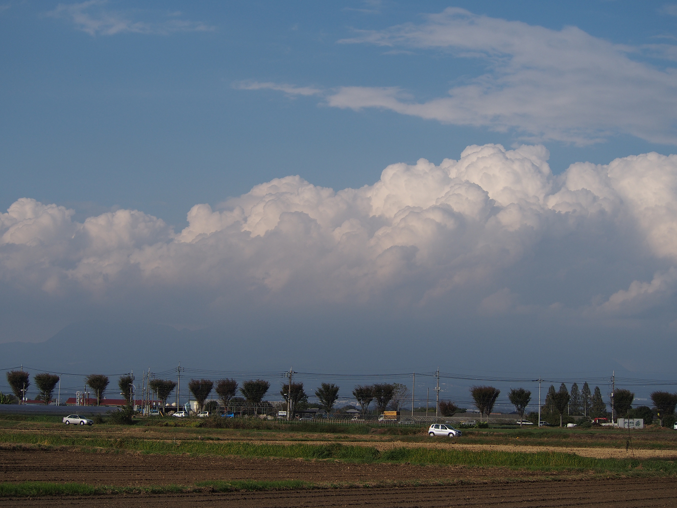 PA310202.jpg