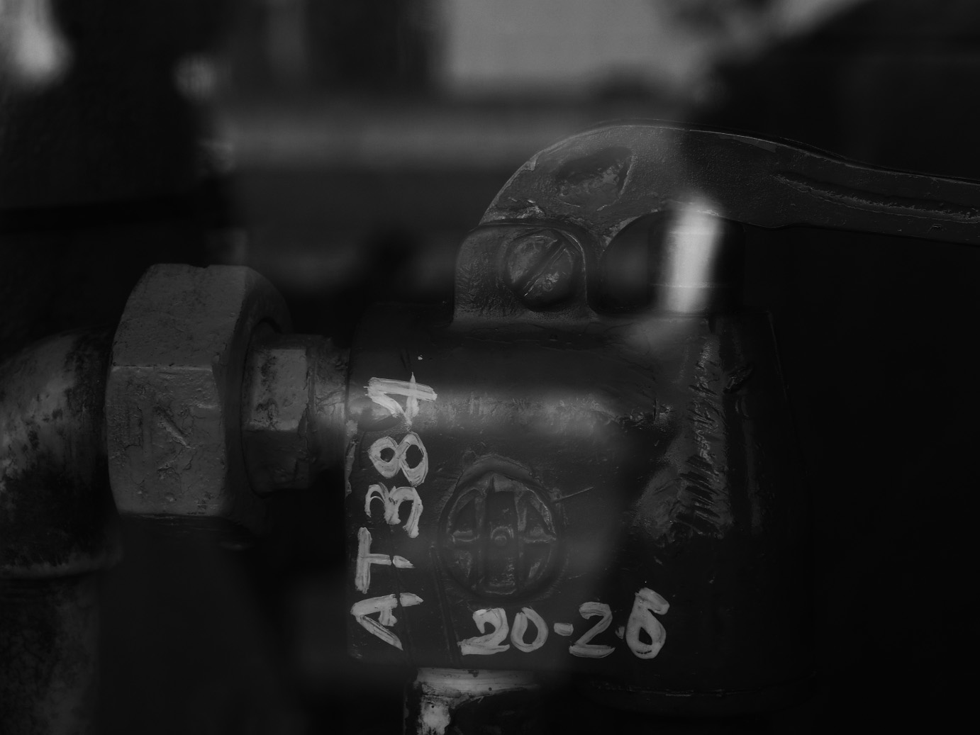 PB030383.jpg