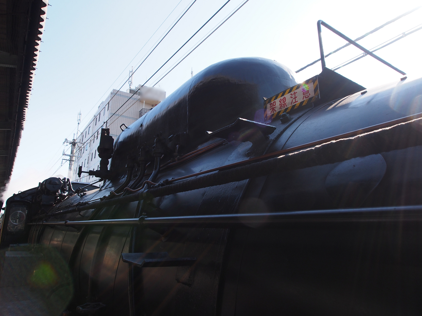 PB030311.jpg