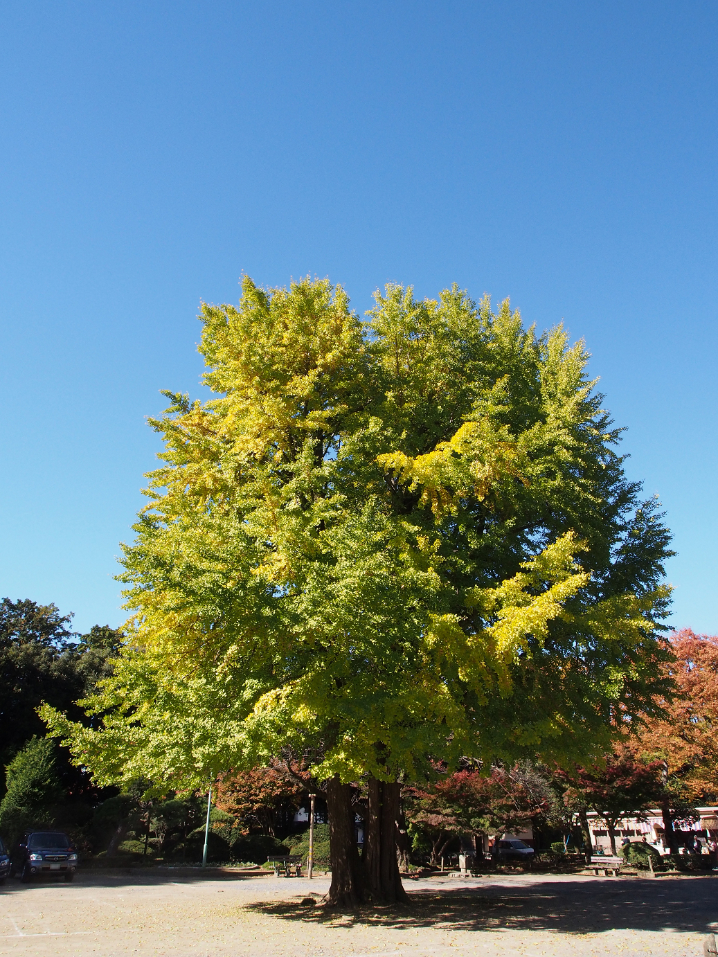 PB100173.jpg