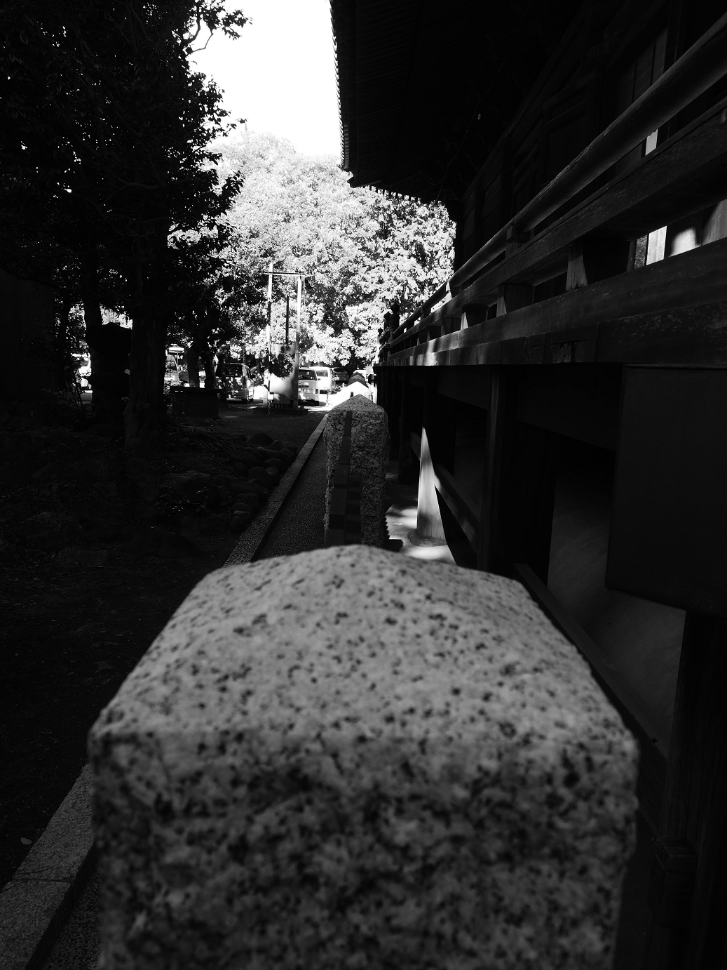 PB100220.jpg