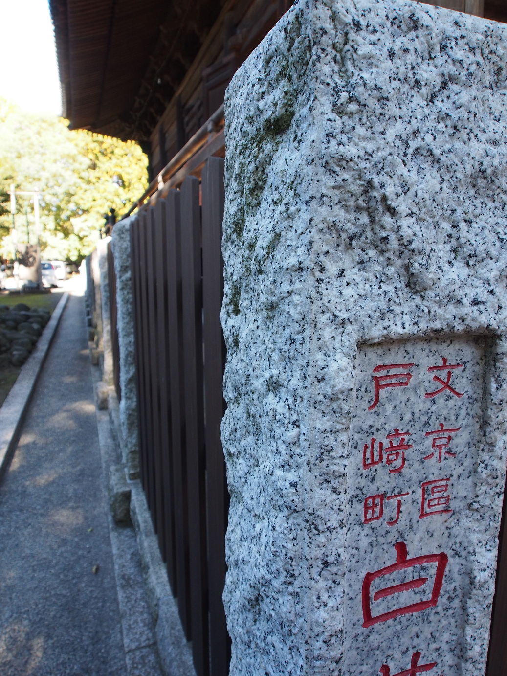 PB100221.jpg
