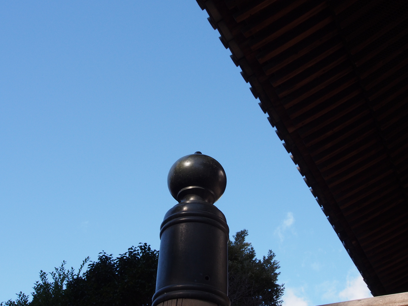 PB100222.jpg