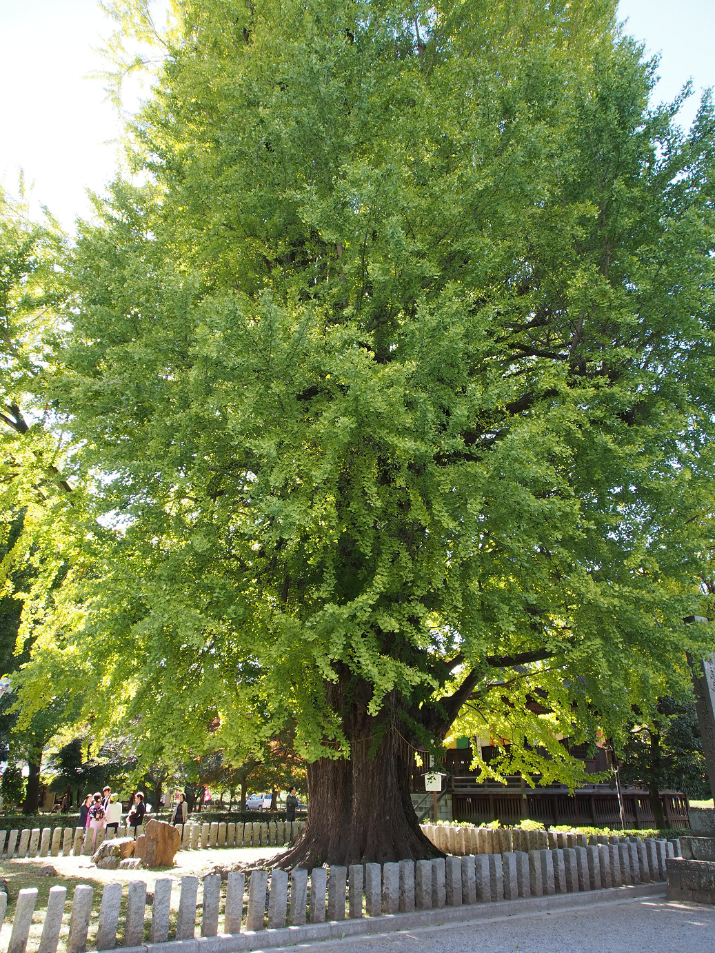 PB100223.jpg