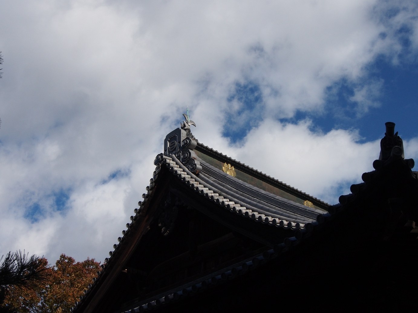 PB100229.jpg