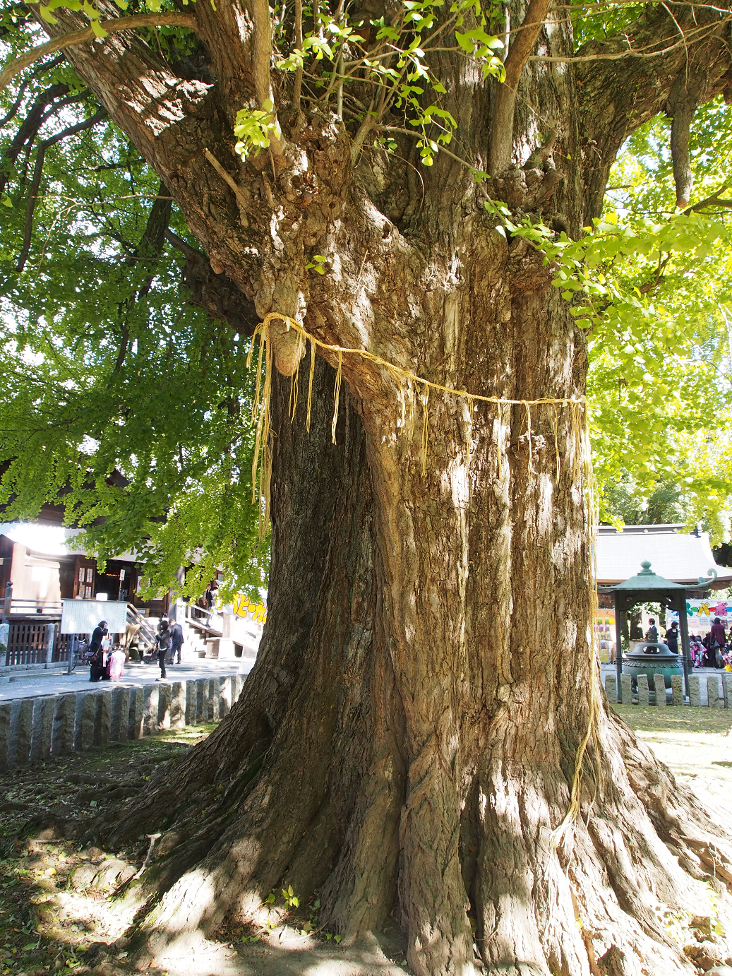 PB100238.jpg