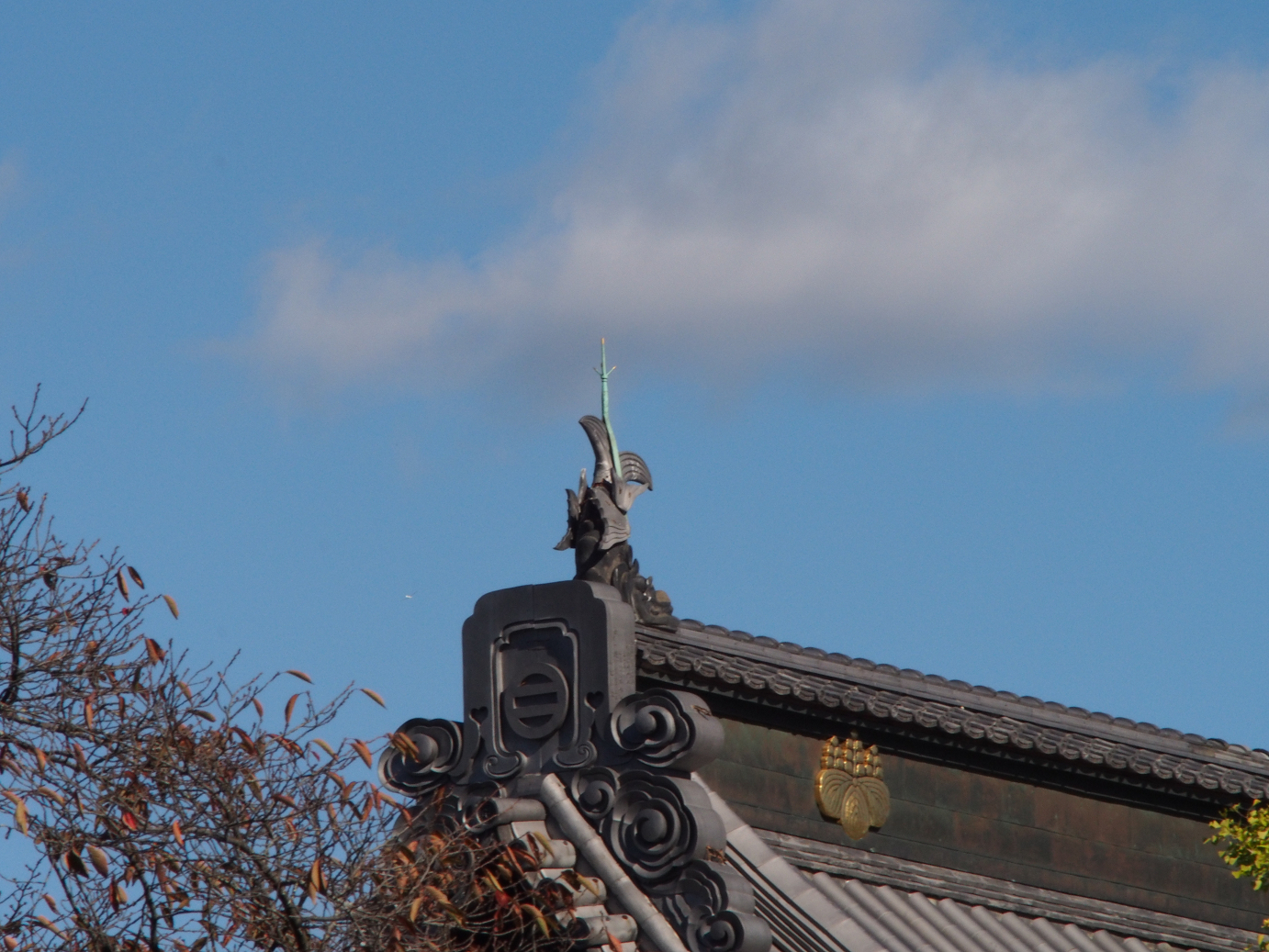 PB100275.jpg