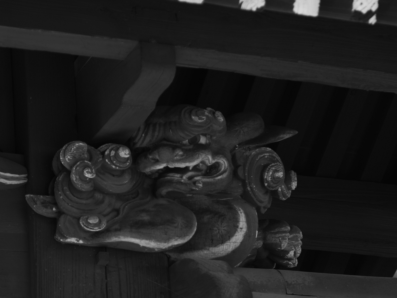 PB100288.jpg