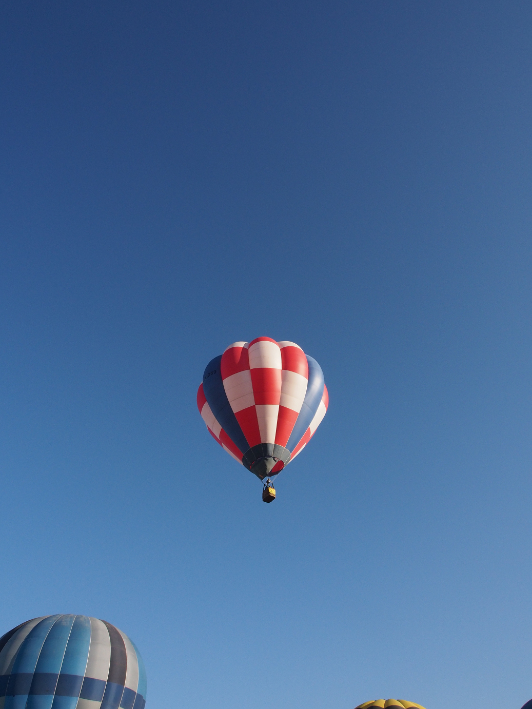 PB100061.jpg