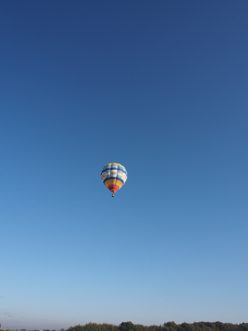 PB100099.jpg