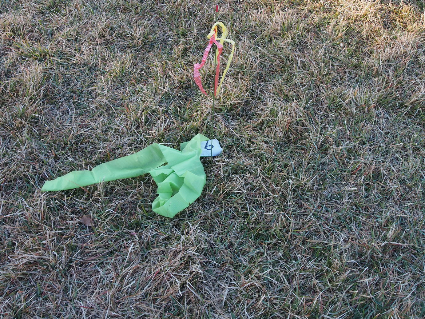 PB100105.jpg