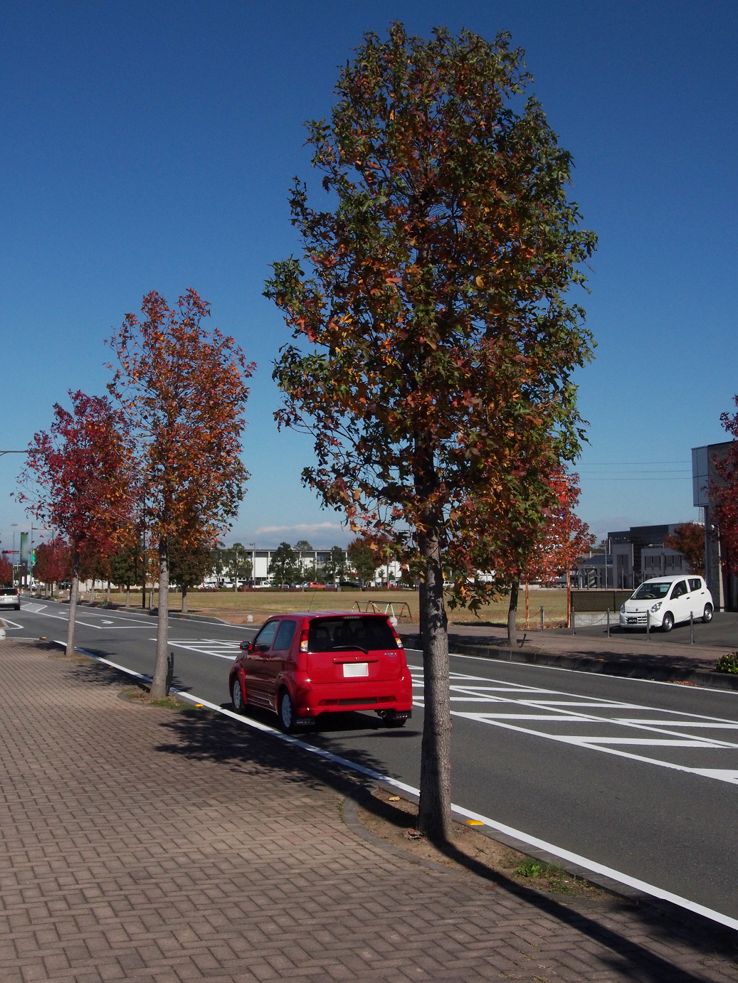 PB100154.jpg