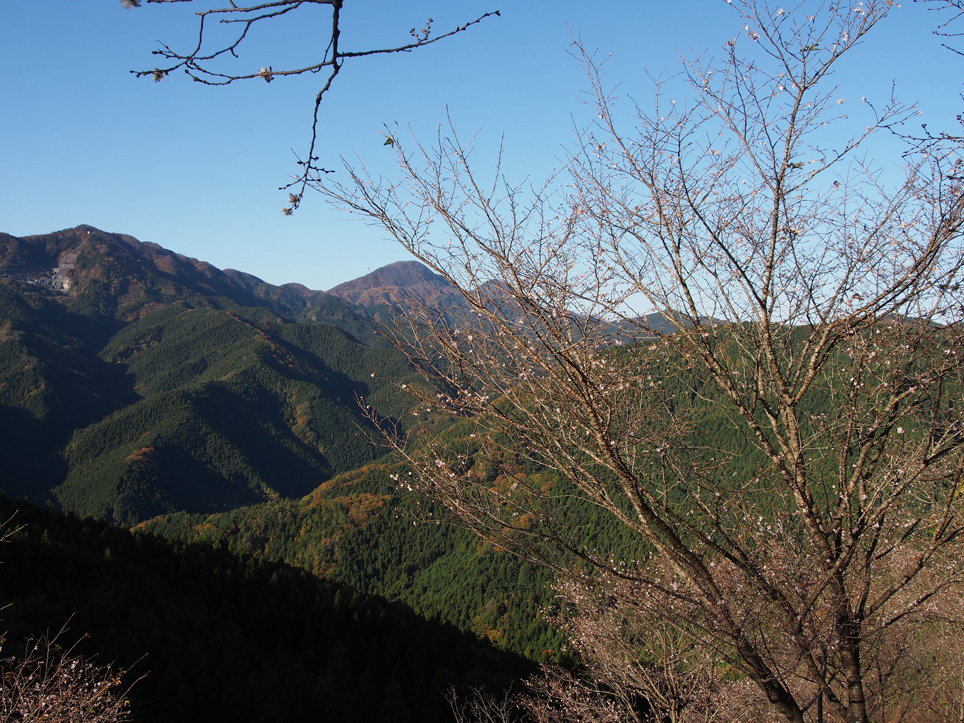 PB160033.jpg