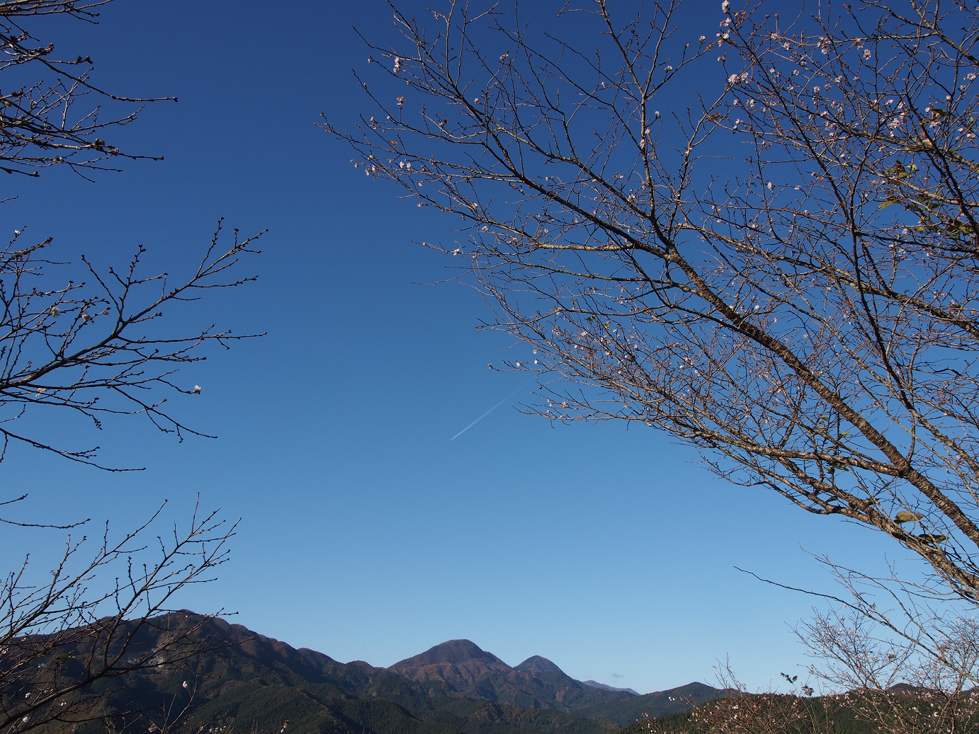 PB160073.jpg