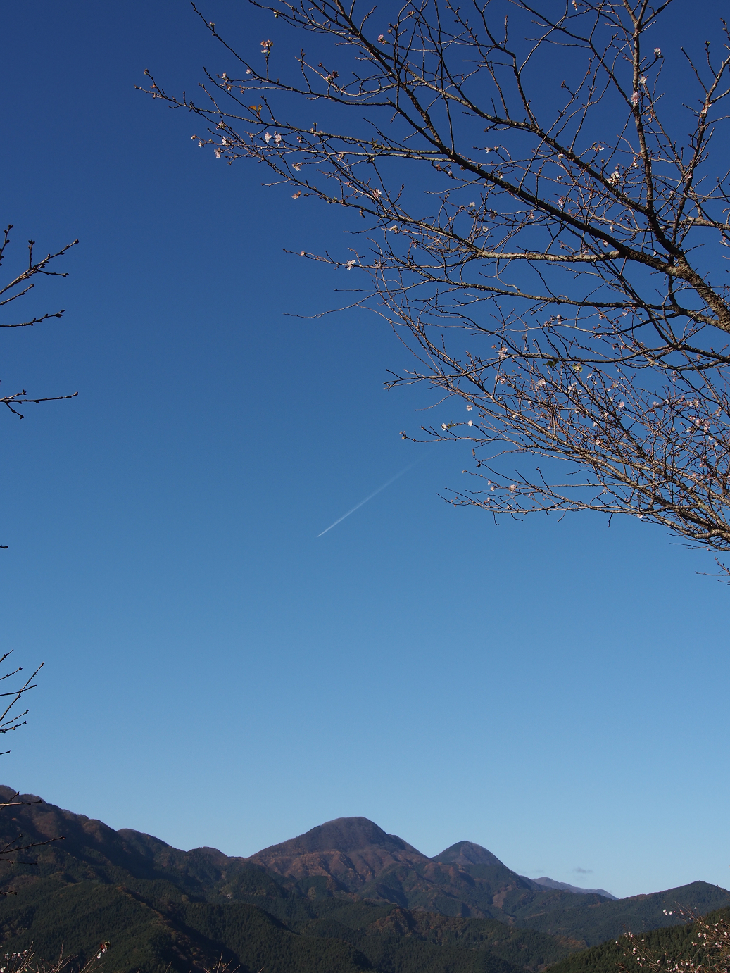 PB160074.jpg