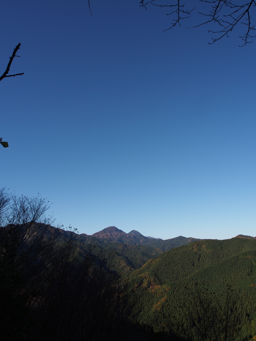 PB160079.jpg