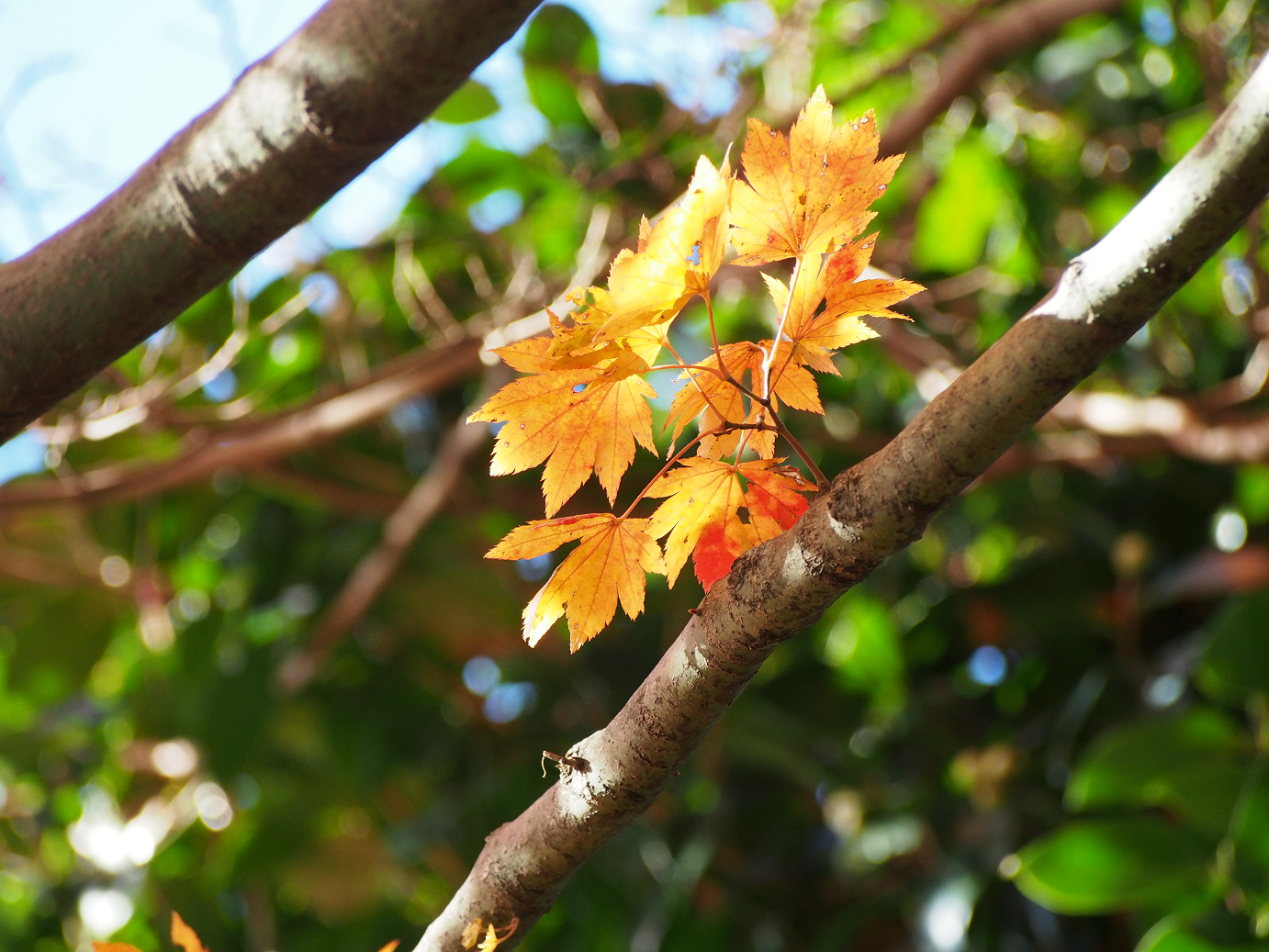 PB160107.jpg