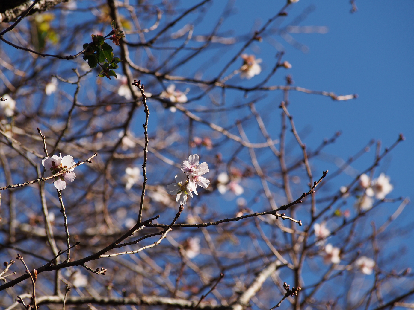 PB160111.jpg