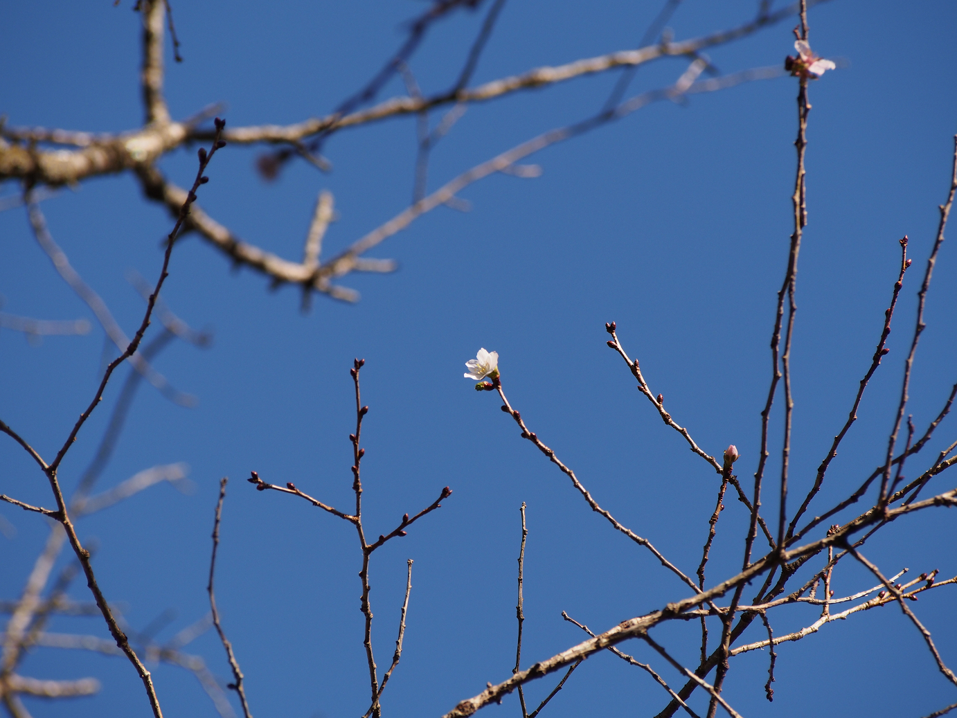 PB160113.jpg