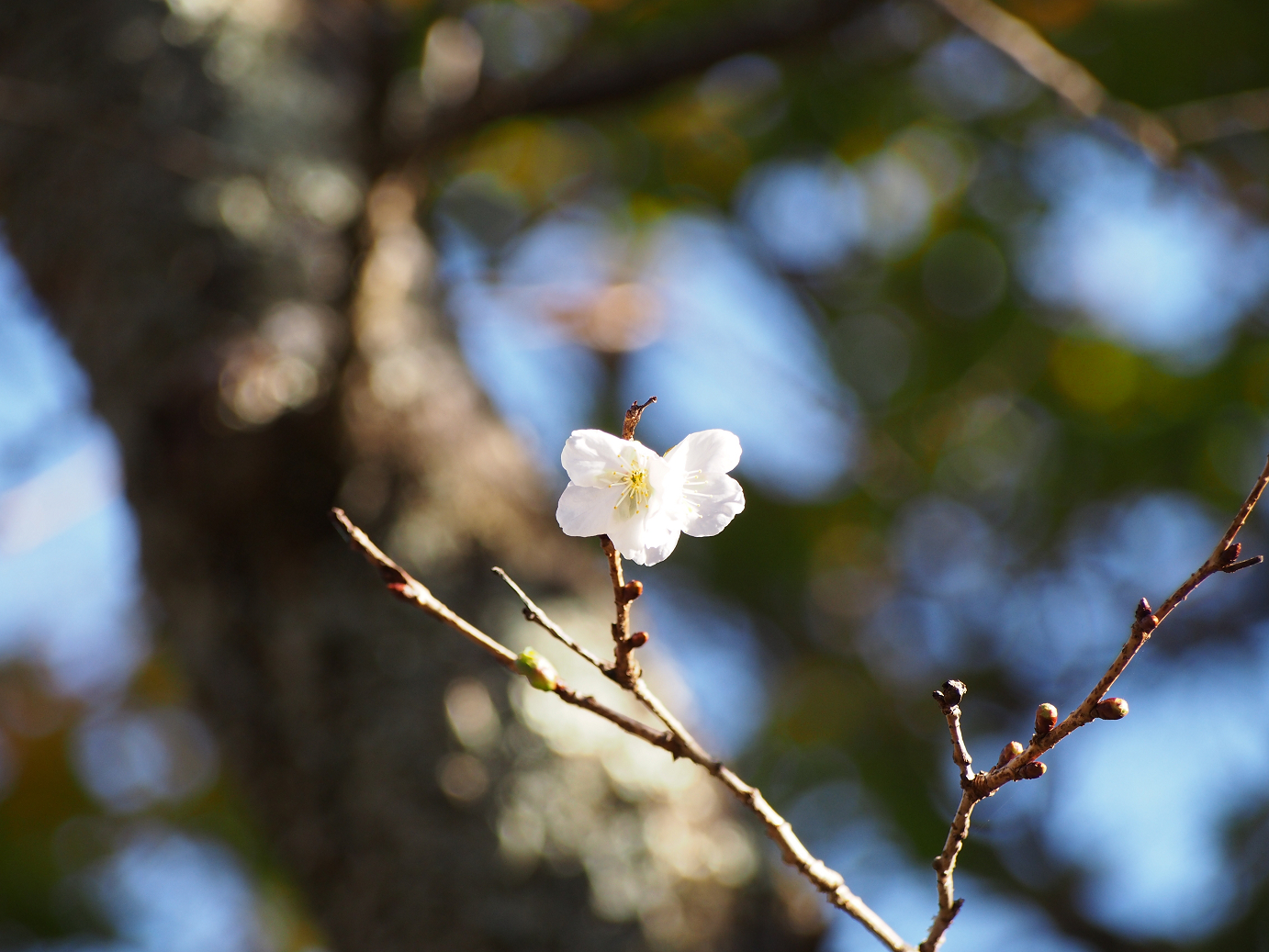 PB160118.jpg