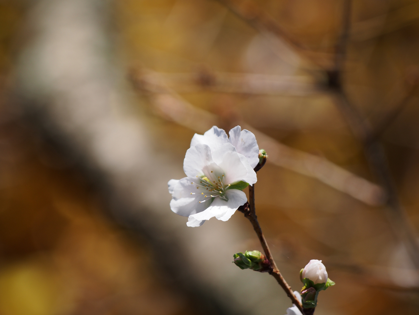 PB160120.jpg