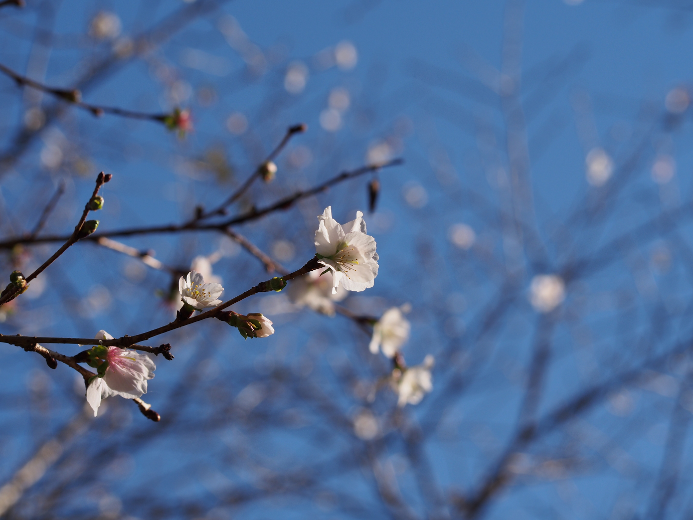 PB160121.jpg