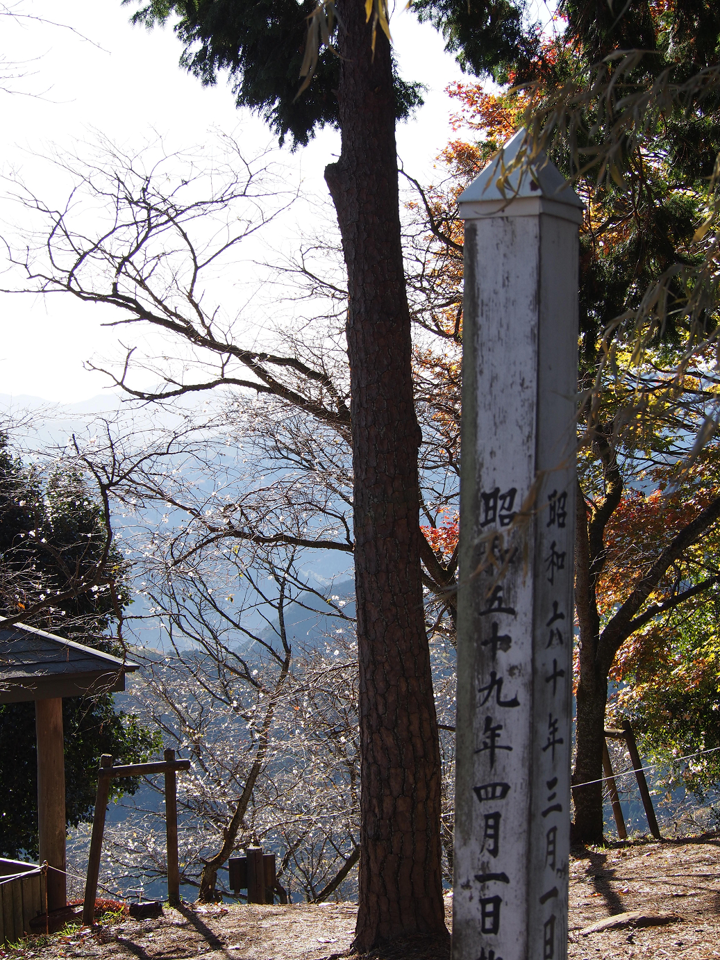 PB160124.jpg