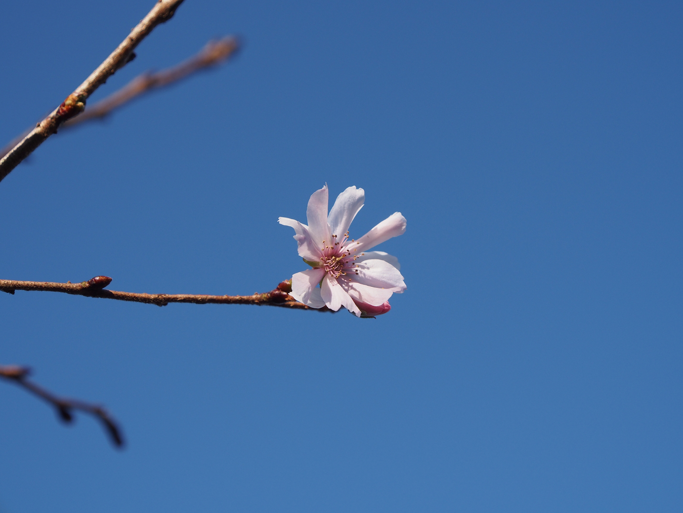 PB160207.jpg