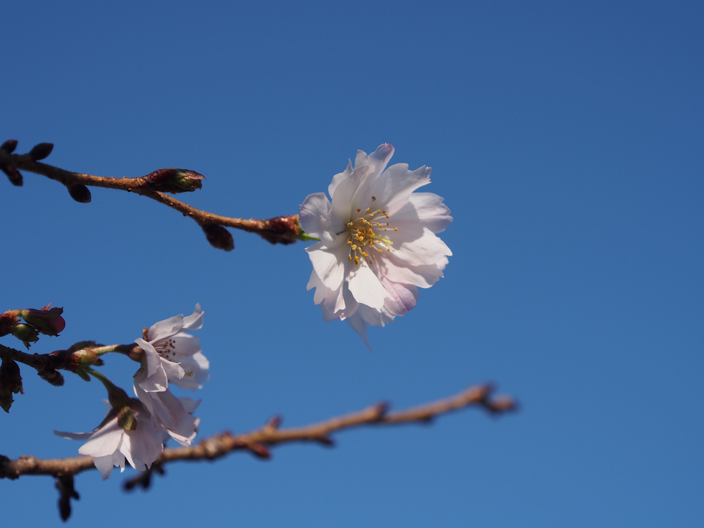 PB160210.jpg