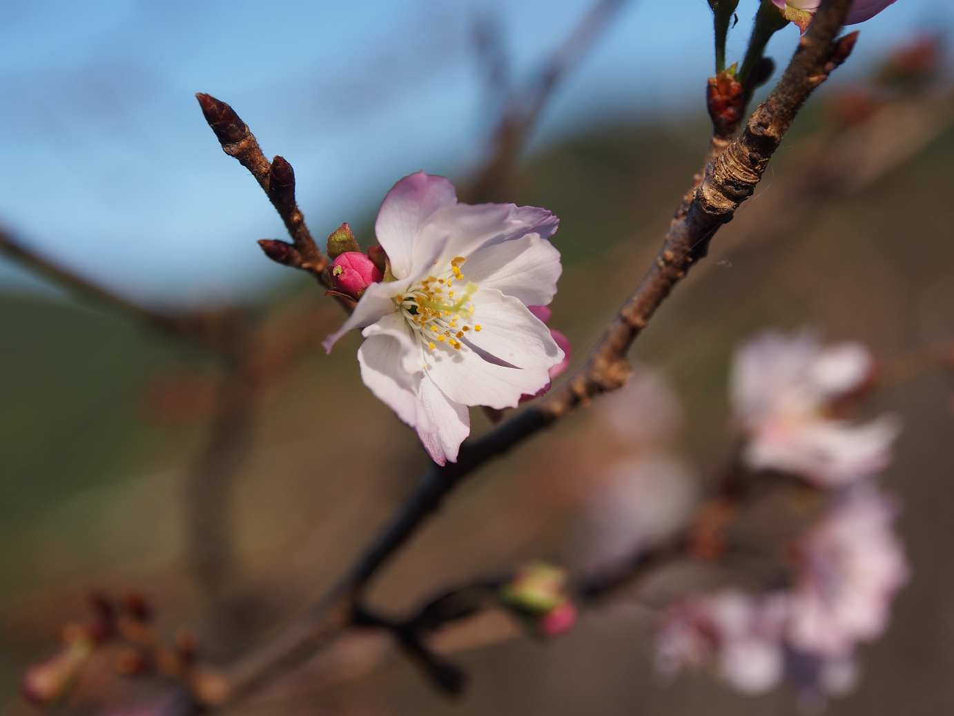PB160213.jpg