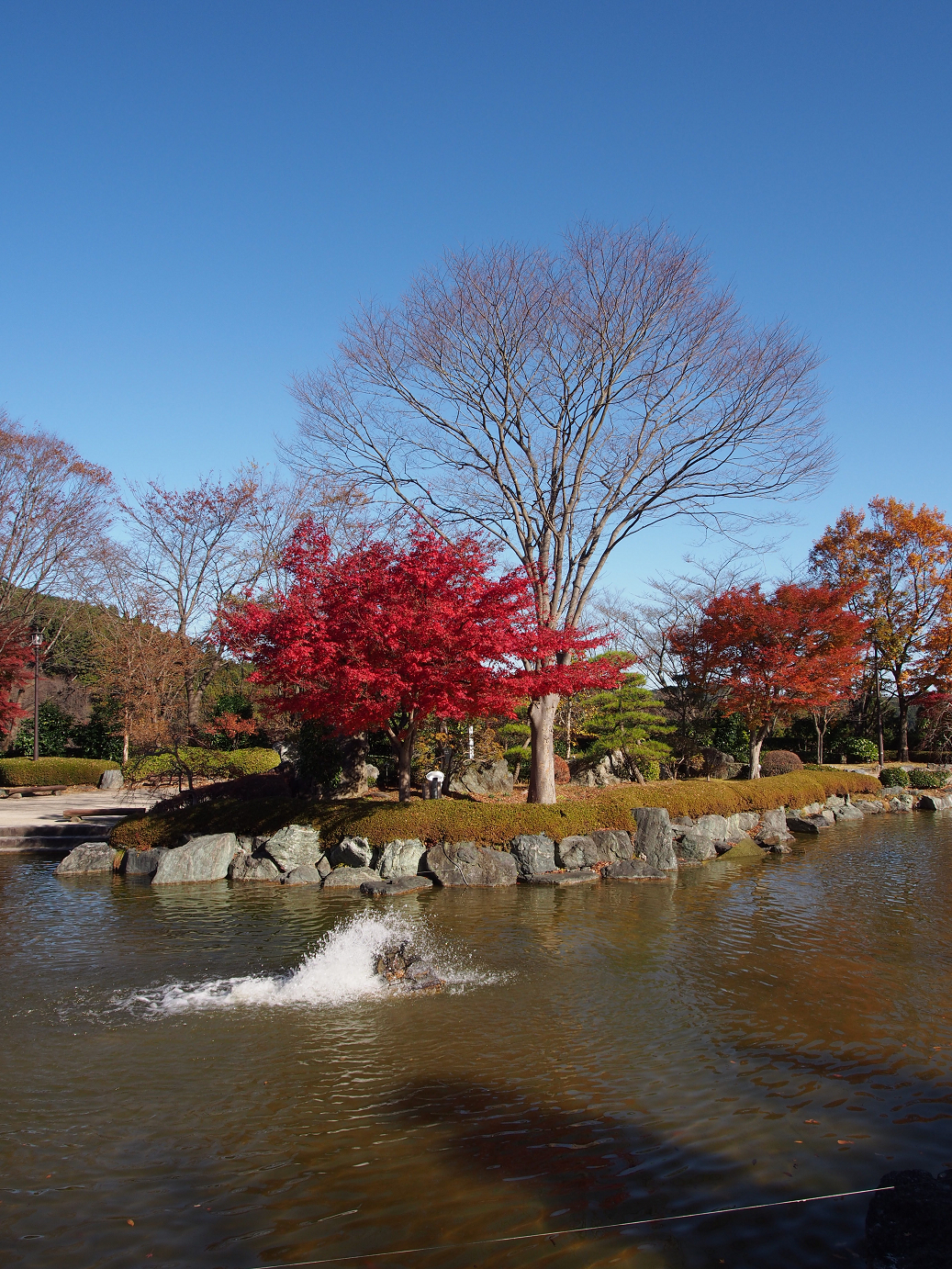 PB160253.jpg