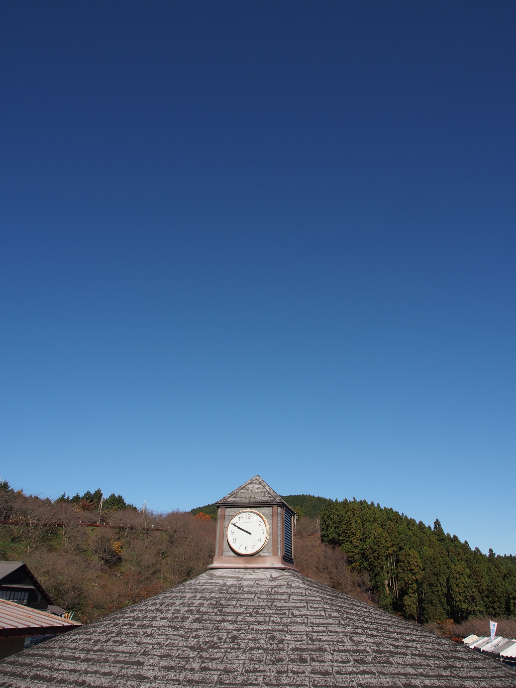 PB160285.jpg