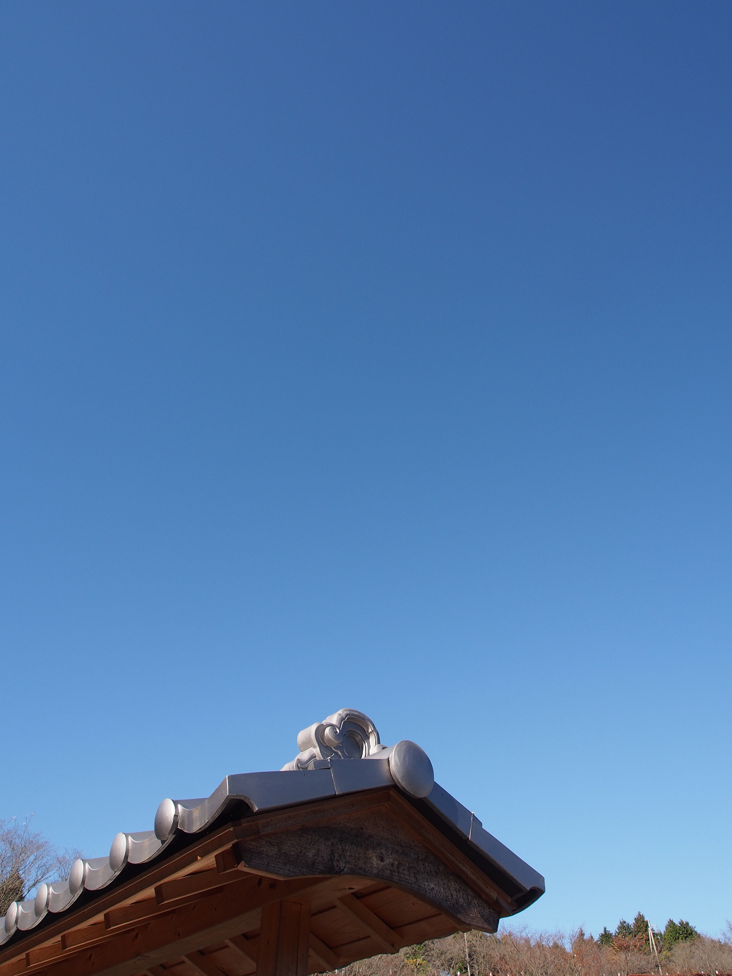 PB160287.jpg