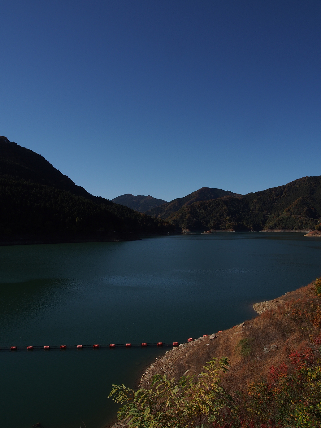PB160312.jpg