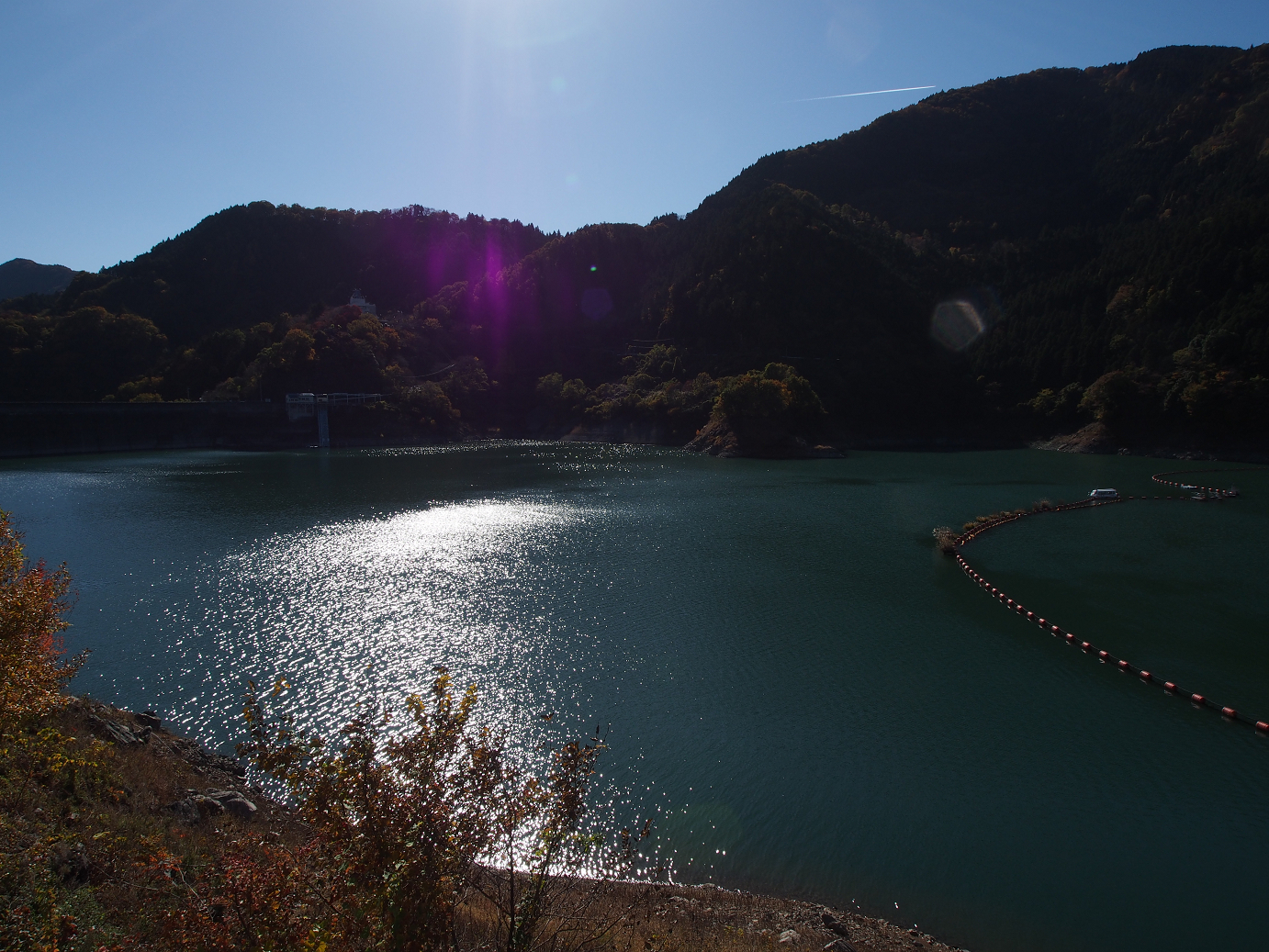 PB160313.jpg
